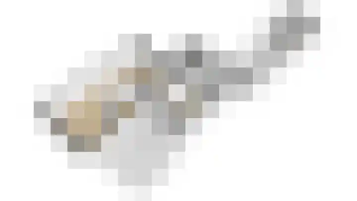Tormentil 10 Hollandscheveld thumbnail 79