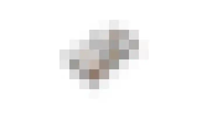 Tormentil 10 Hollandscheveld thumbnail 81