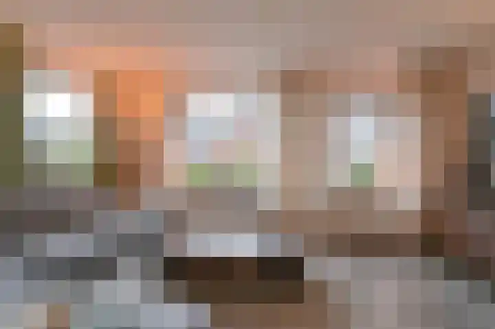 Tormentil 10 Hollandscheveld thumbnail 9