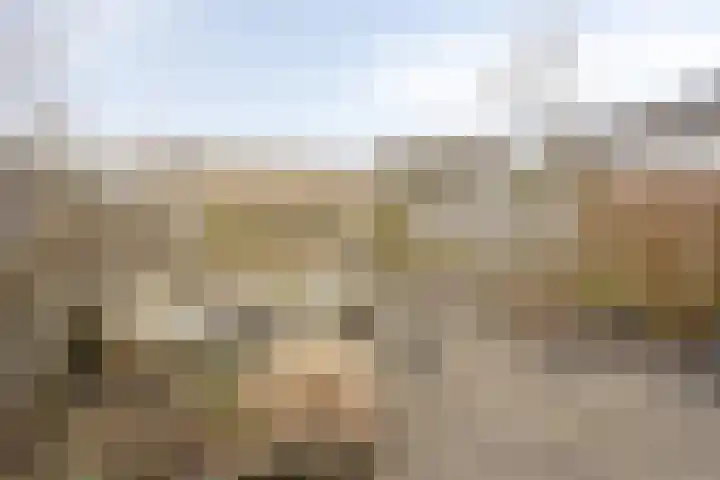 Tormentil 104 Kampen thumbnail 28