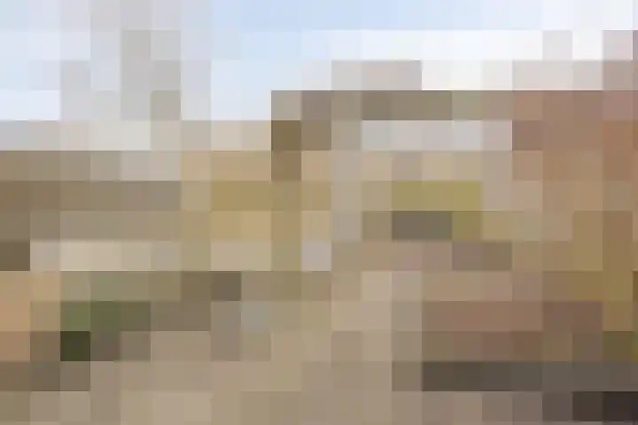 Tormentil 104 Kampen thumbnail 29