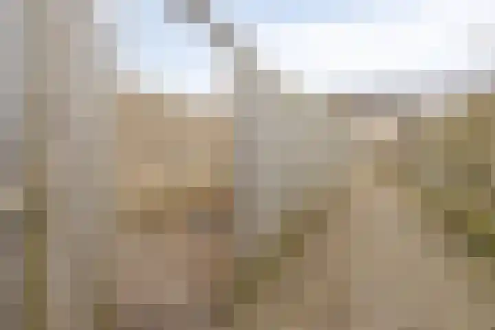 Tormentil 104 Kampen thumbnail 32