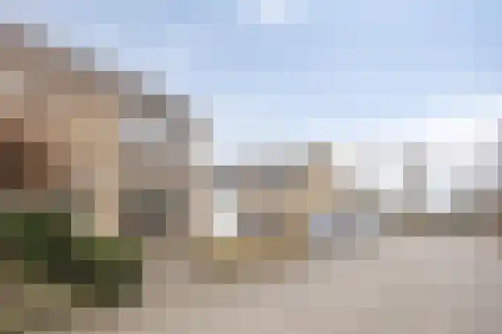 Tormentil 104 Kampen thumbnail 34