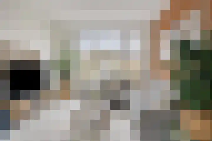 Tormentil 104 Kampen thumbnail 4