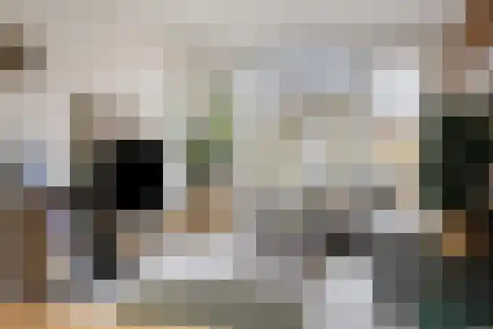 Tormentil 104 Kampen thumbnail 8