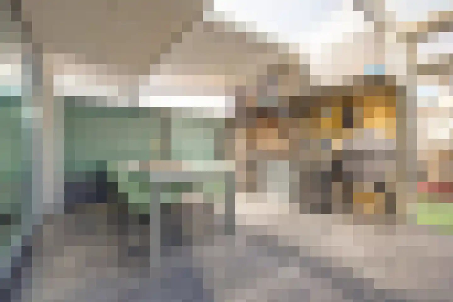 Tormentil 16 Hoogvliet Rotterdam thumbnail 11