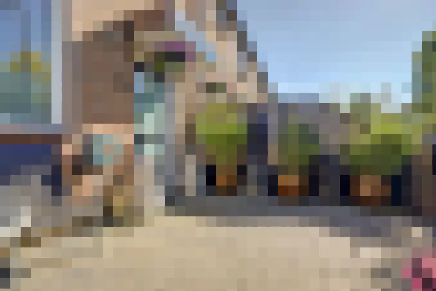 Tormentil 16 Hoogvliet Rotterdam thumbnail 30