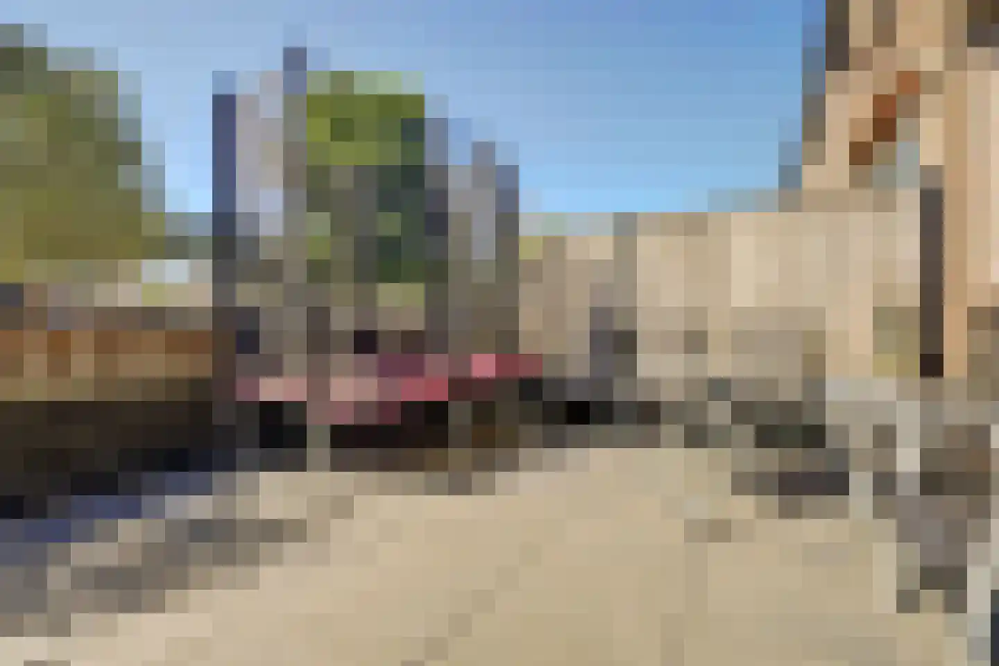 Tormentil 16 Hoogvliet Rotterdam thumbnail 31