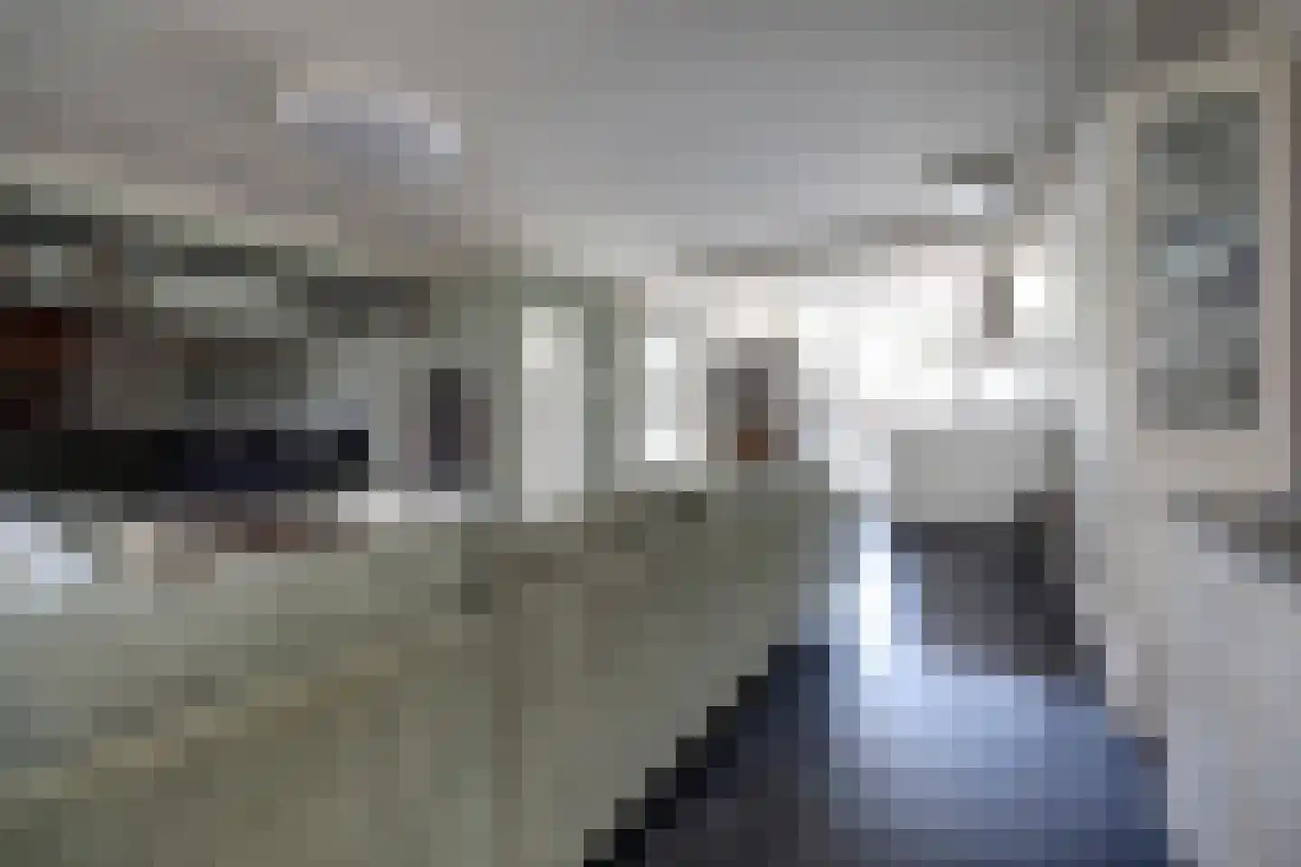 Tormentil 16 Hoogvliet Rotterdam thumbnail 6