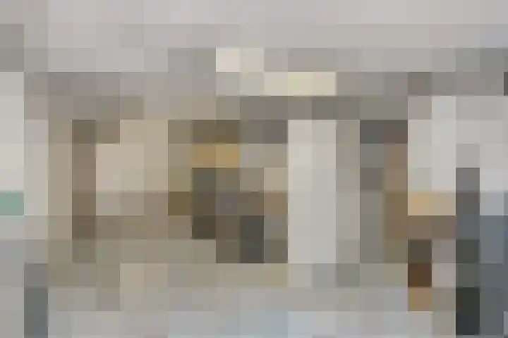 Tormentil 22 Oldenzaal thumbnail 23