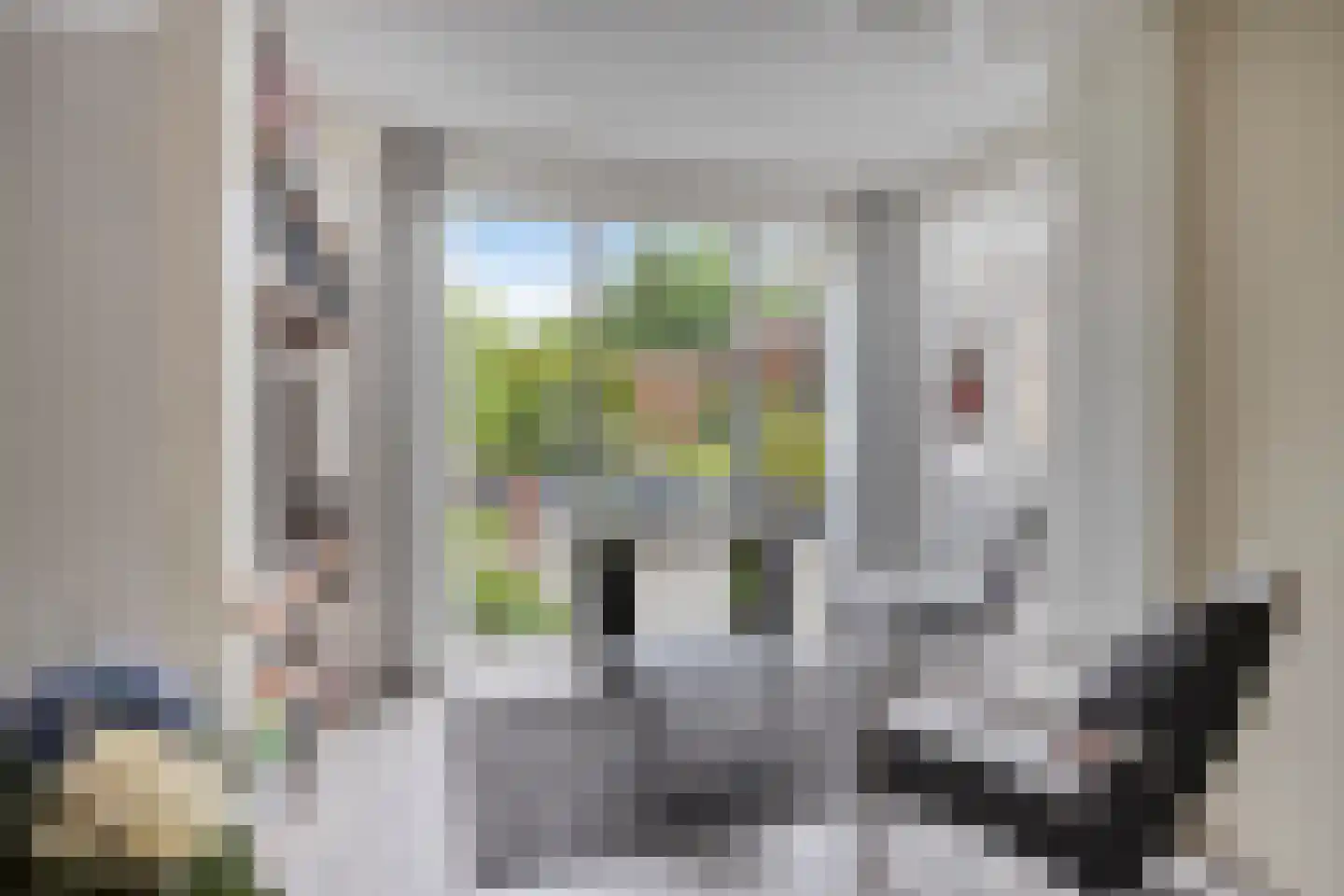 Tormentil 3 Oldenzaal thumbnail 11