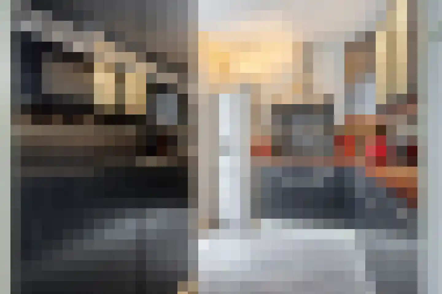 Tormentil 3 Oldenzaal thumbnail 12