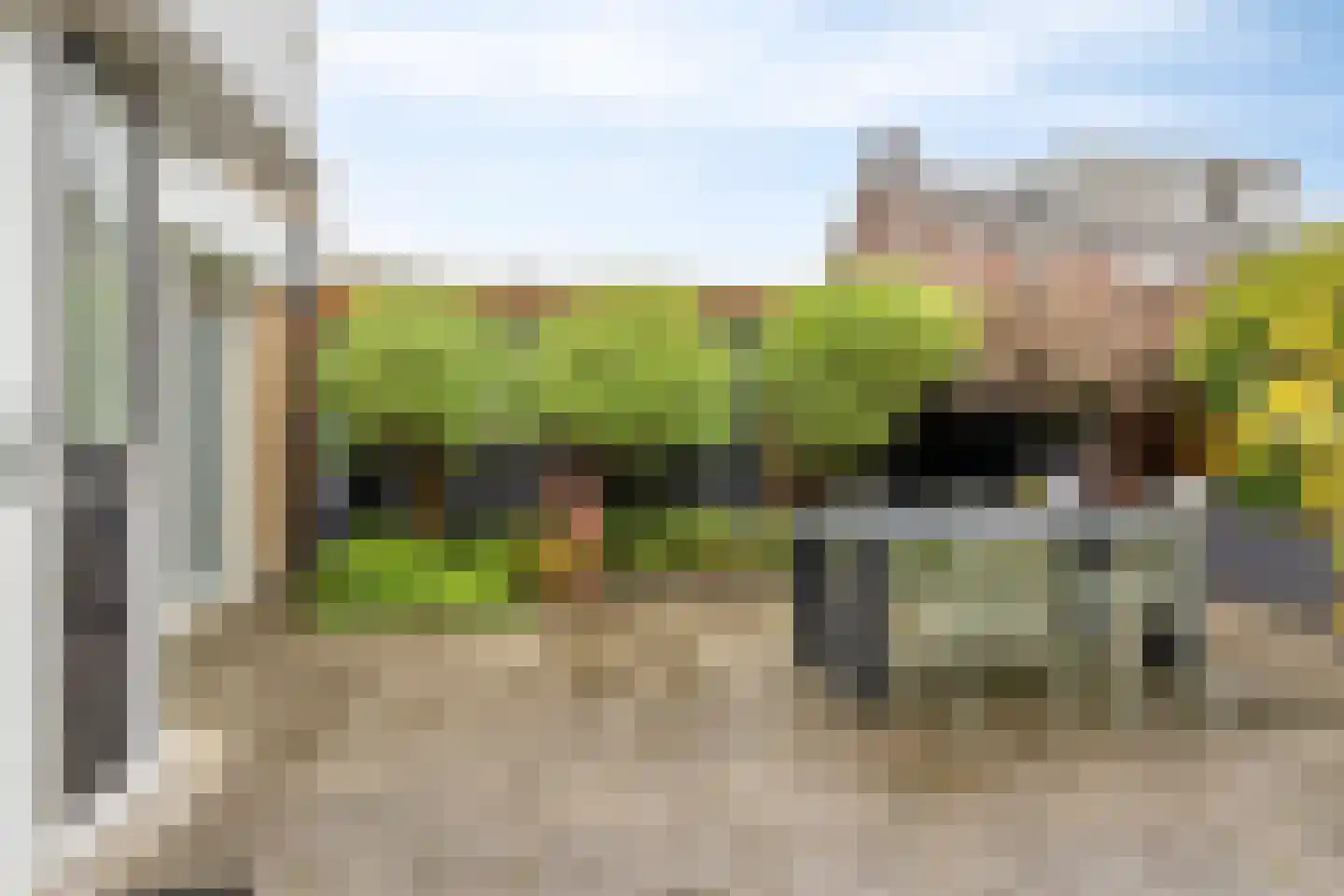 Tormentil 3 Oldenzaal thumbnail 29