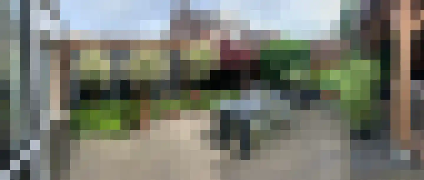 Tormentil 3 Oldenzaal thumbnail 30