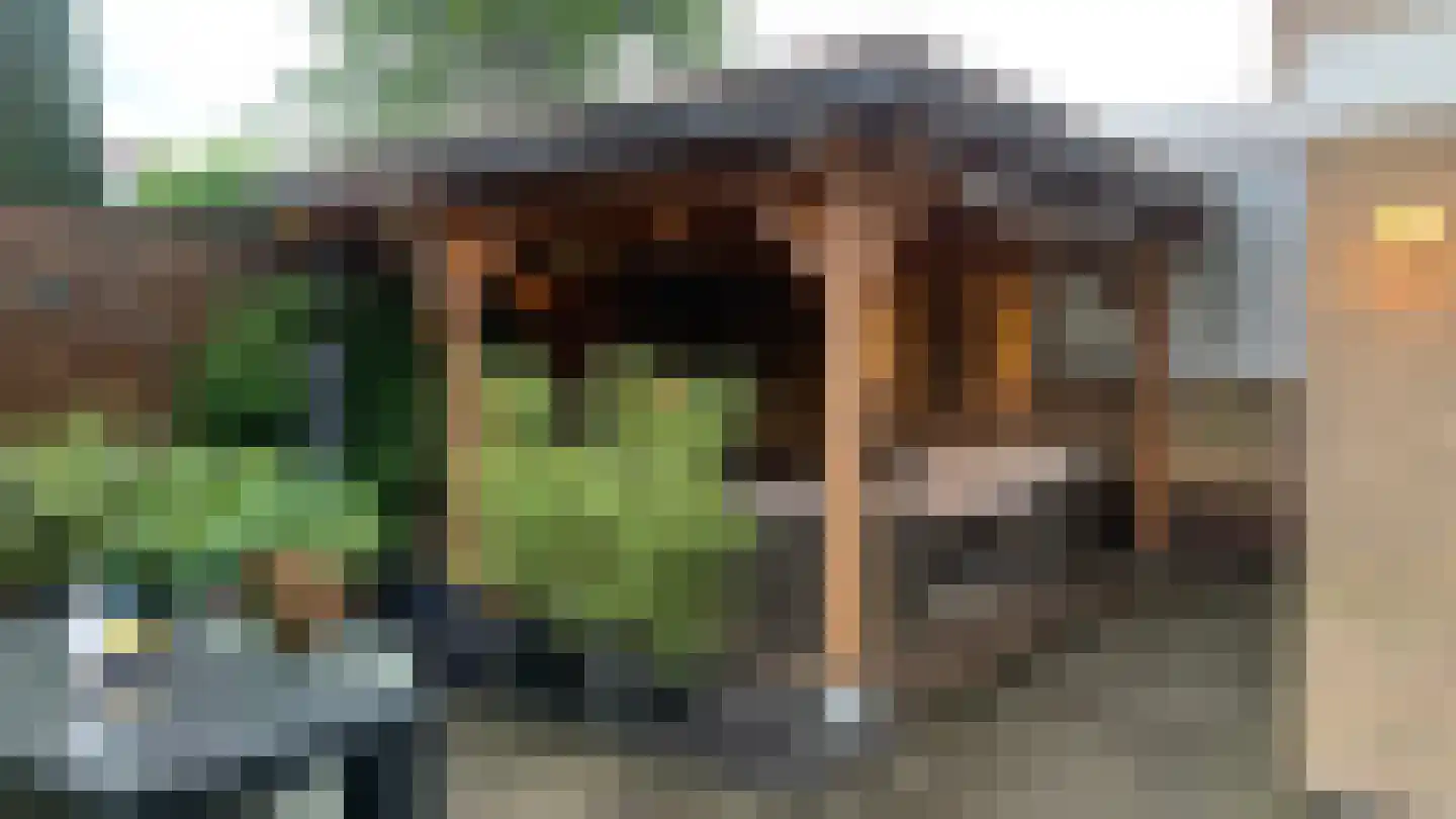 Tormentil 3 Oldenzaal thumbnail 31