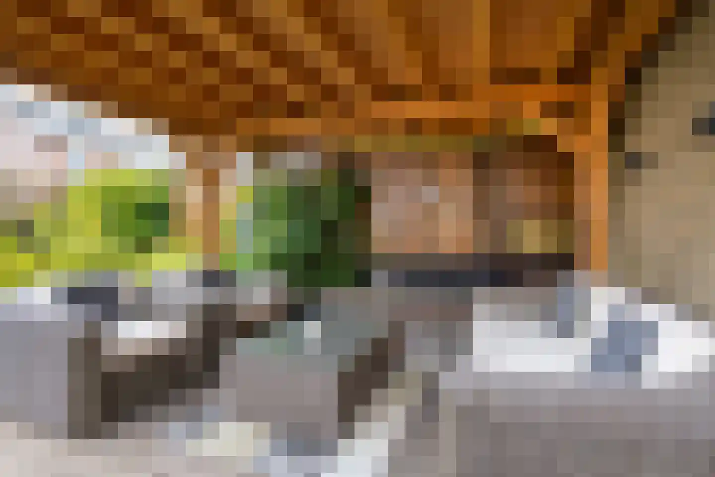 Tormentil 3 Oldenzaal thumbnail 32