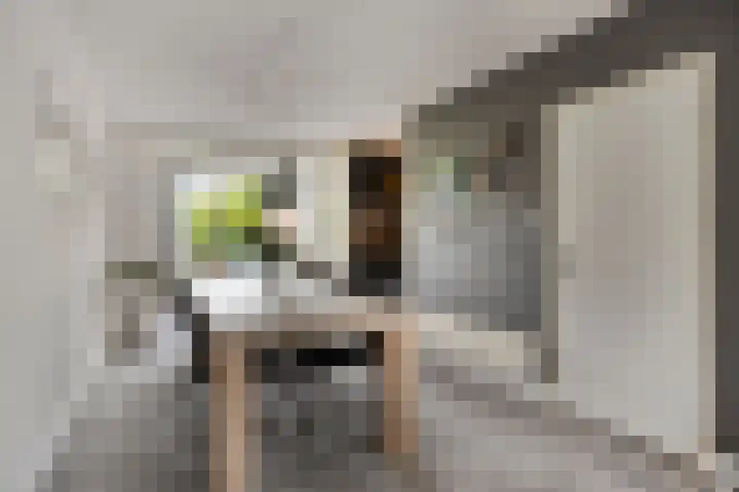Tormentil 3 Oldenzaal thumbnail 8