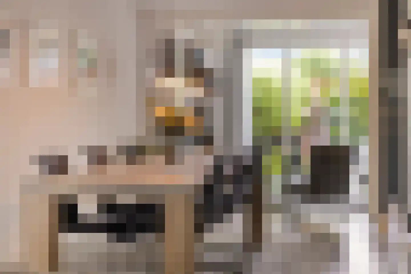 Tormentil 3 Oldenzaal thumbnail 9