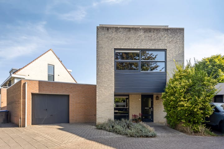 Tormentil 4 in Berkel-Enschot photo