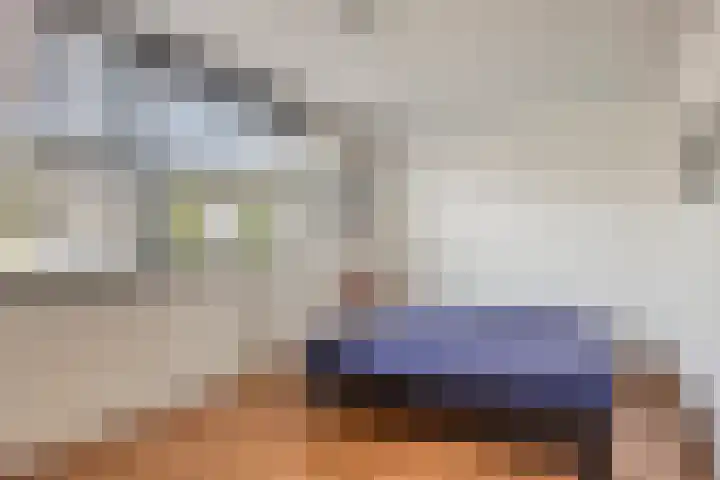 Tormentil 4 Berkel-Enschot thumbnail 12