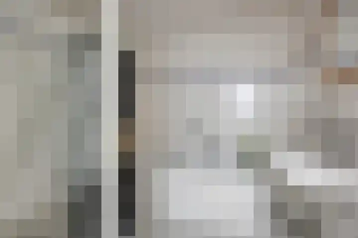 Tormentil 4 Berkel-Enschot thumbnail 16