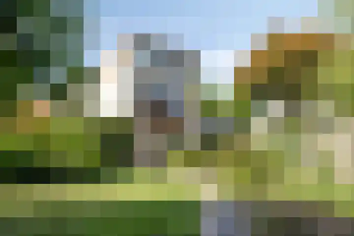 Tormentil 4 Berkel-Enschot thumbnail 25