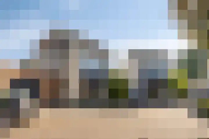 Tormentil 4 Berkel-Enschot thumbnail 30