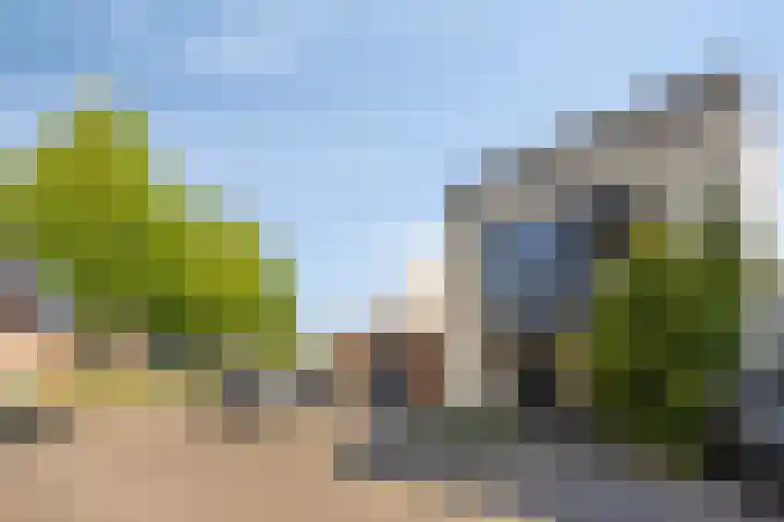Tormentil 4 Berkel-Enschot thumbnail 31