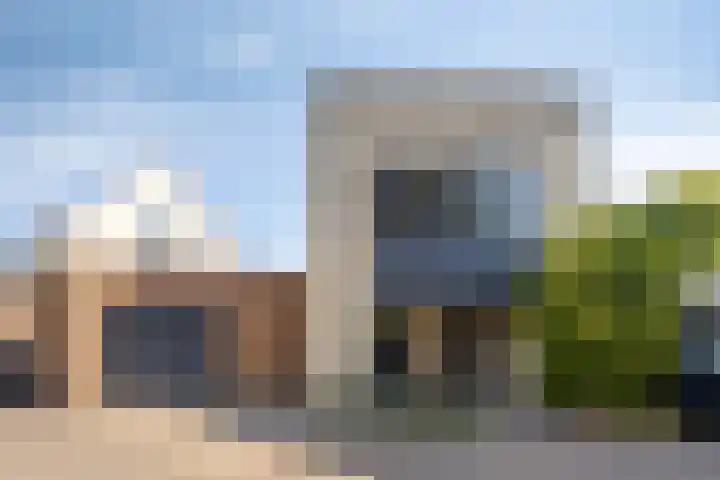 Tormentil 4 Berkel-Enschot thumbnail 37