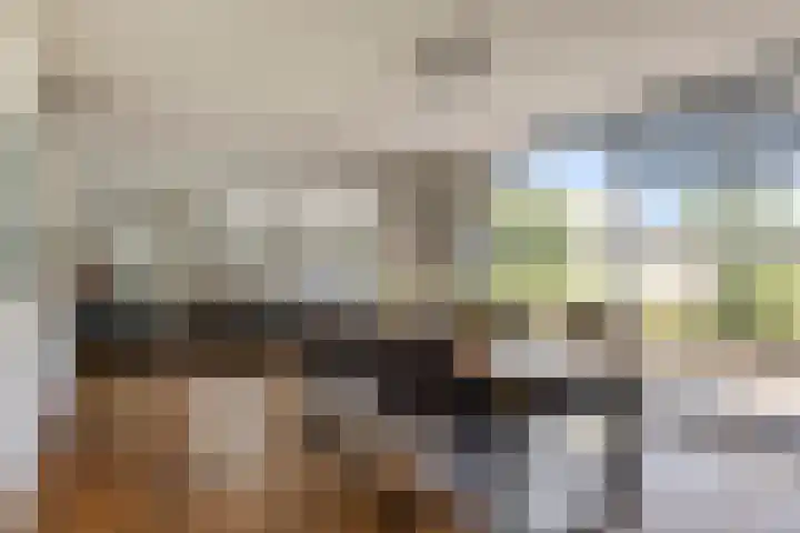 Tormentil 4 Berkel-Enschot thumbnail 6