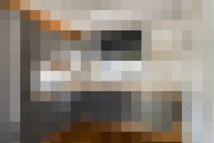 Tormentil 4 Berkel-Enschot thumbnail 9