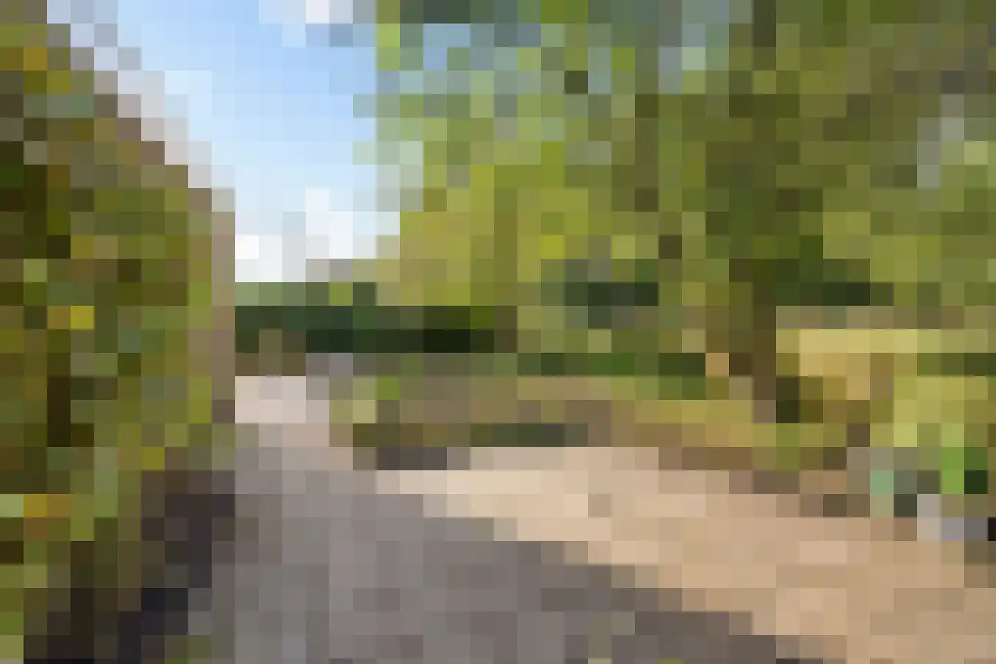 Tormentil 40 Heerenveen thumbnail 33