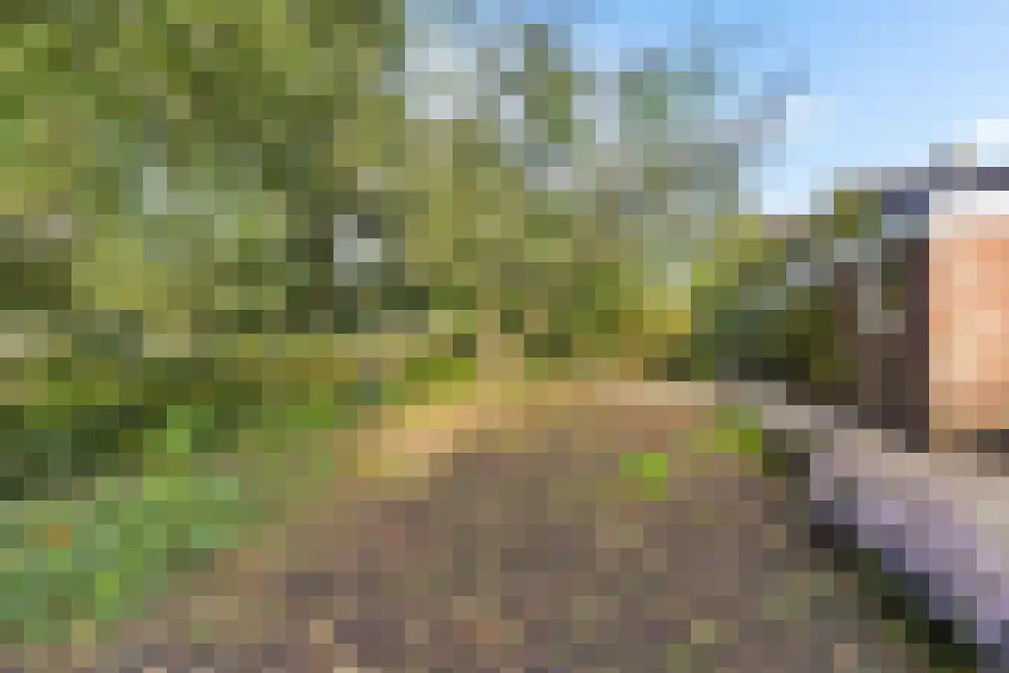 Tormentil 40 Heerenveen thumbnail 37