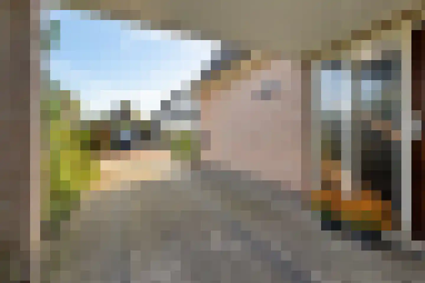 Tormentil 40 Heerenveen thumbnail 42