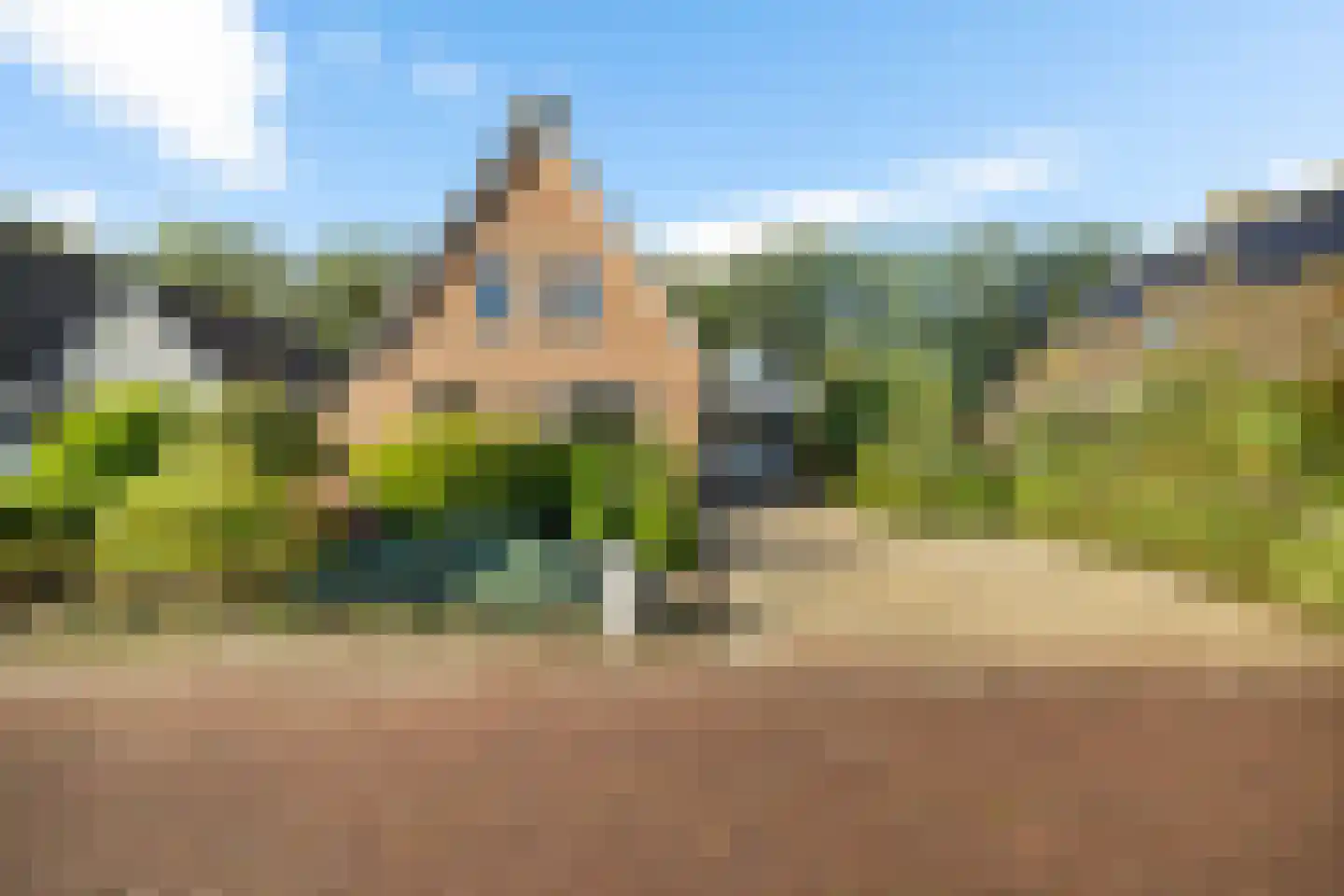 Tormentil 40 Heerenveen thumbnail 43