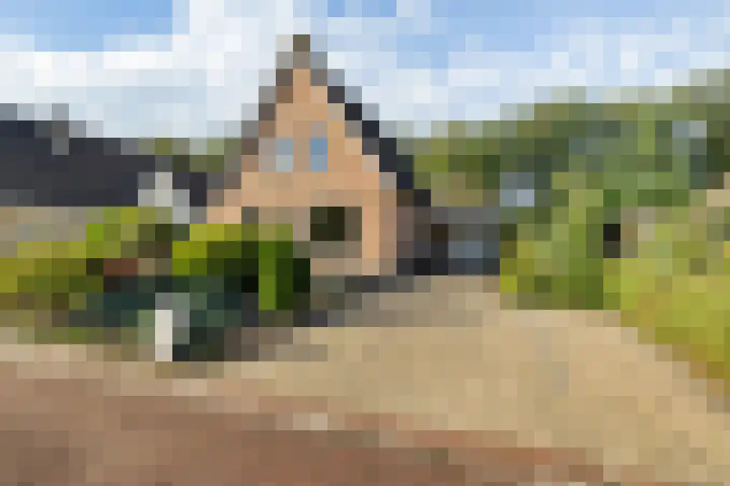 Tormentil 40 Heerenveen thumbnail 44