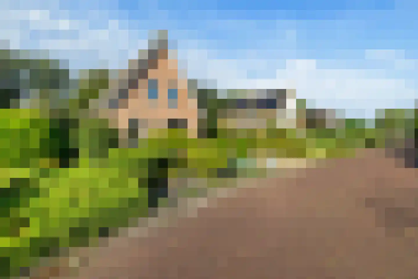 Tormentil 40 Heerenveen thumbnail 45