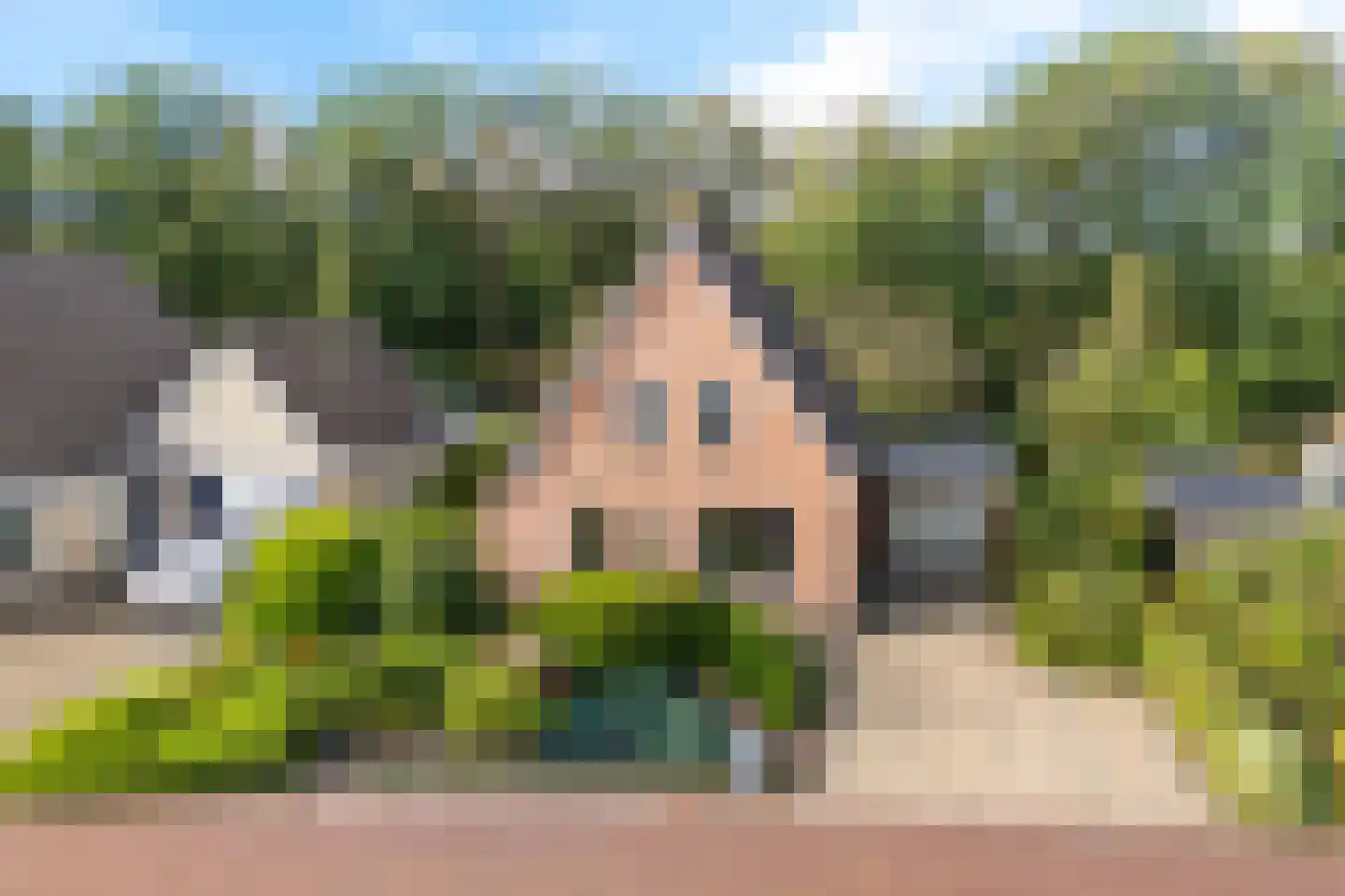 Tormentil 40 Heerenveen thumbnail 49