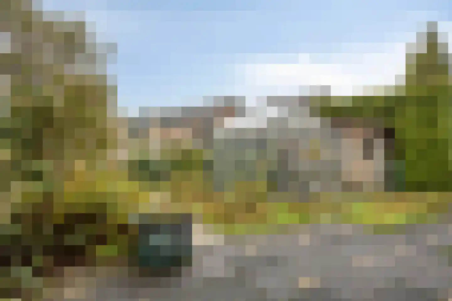Tormentil 40 Nootdorp thumbnail 30