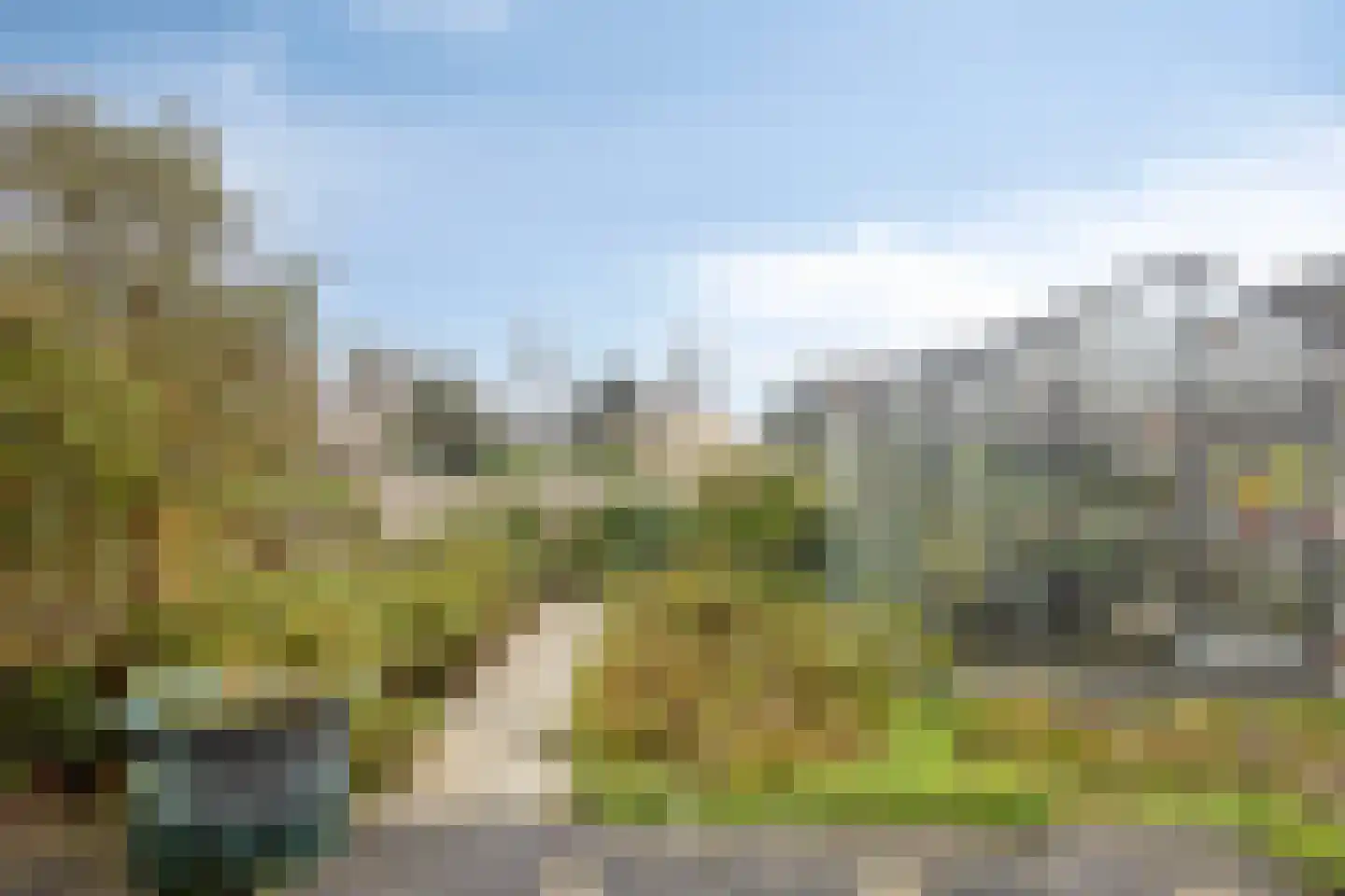 Tormentil 40 Nootdorp thumbnail 31