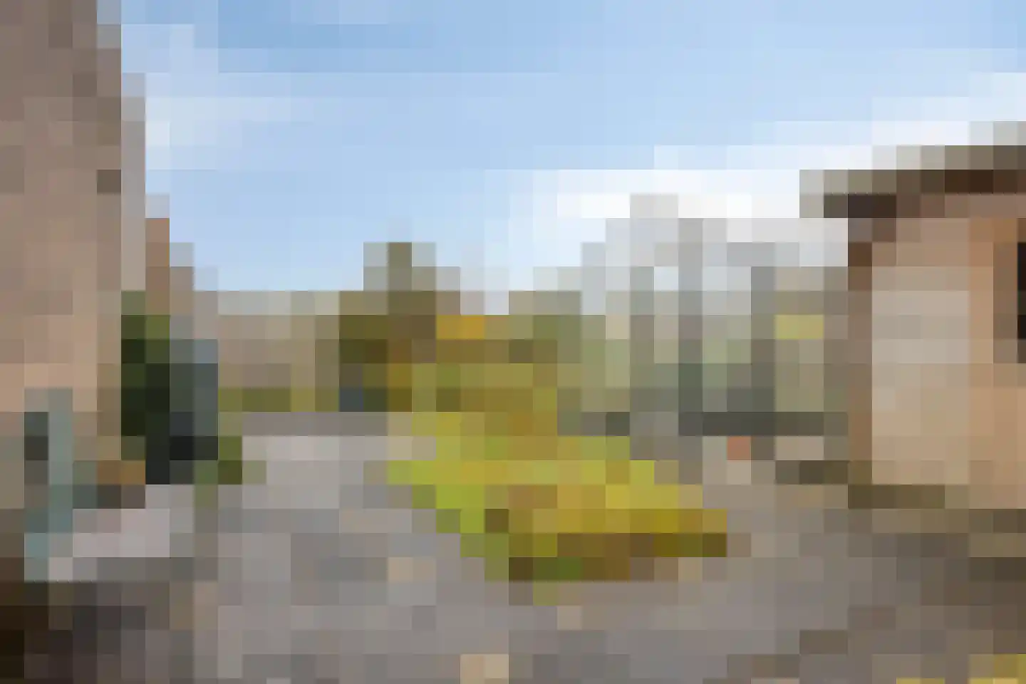 Tormentil 40 Nootdorp thumbnail 33