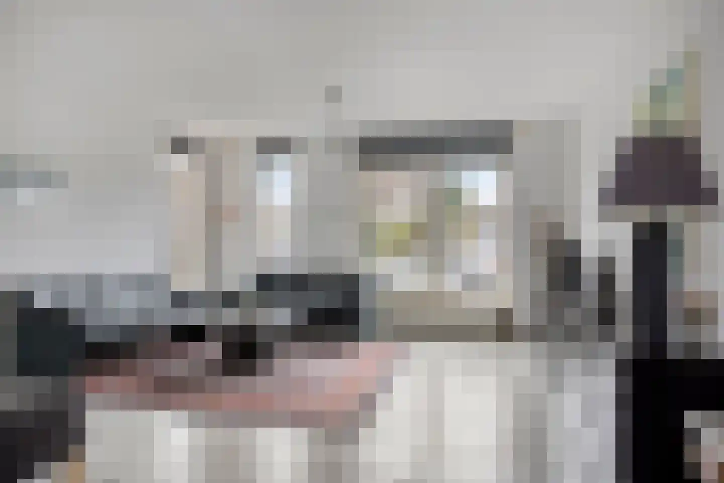 Tormentil 40 Nootdorp thumbnail 7
