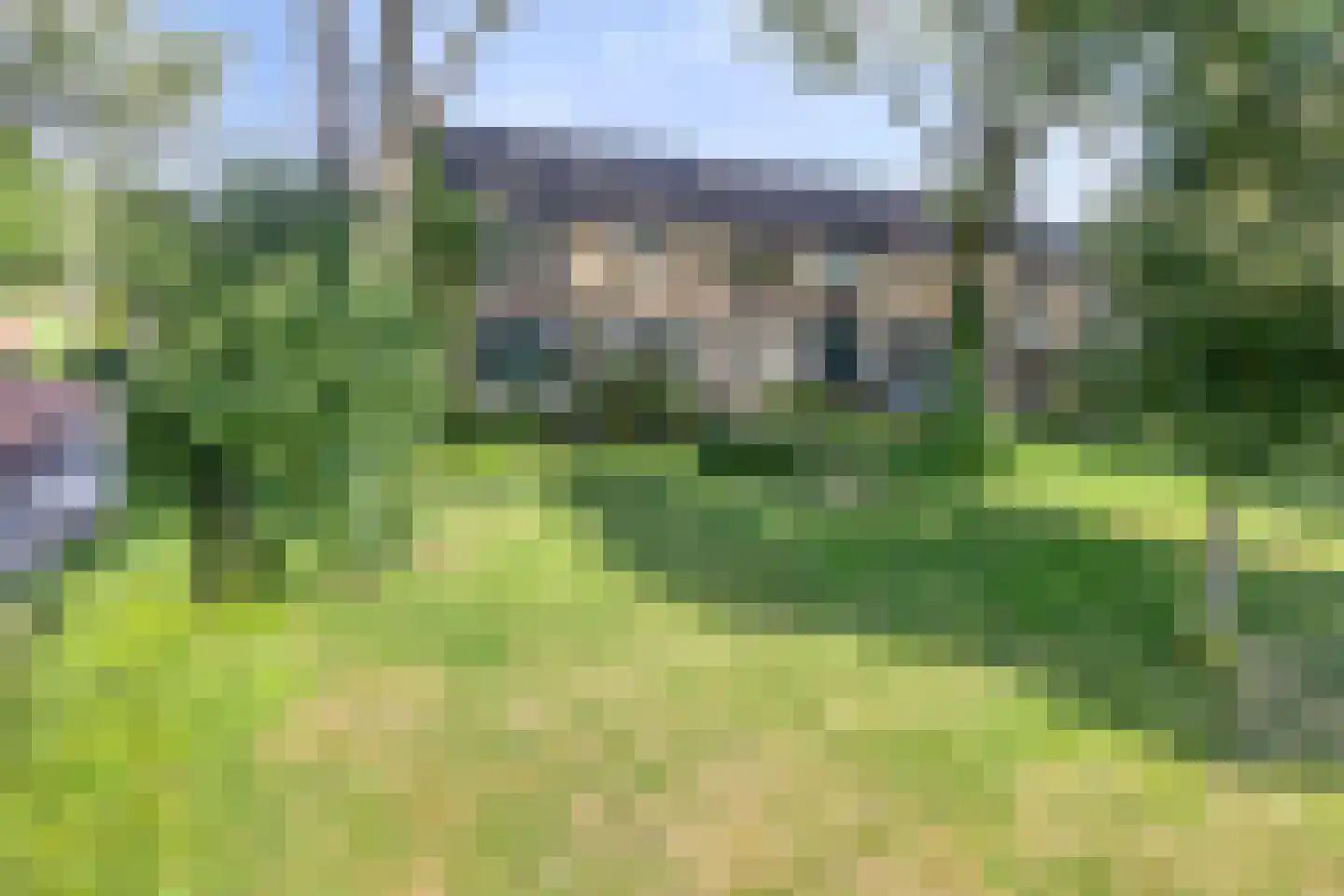 Tormentil 48 Kampen thumbnail 10