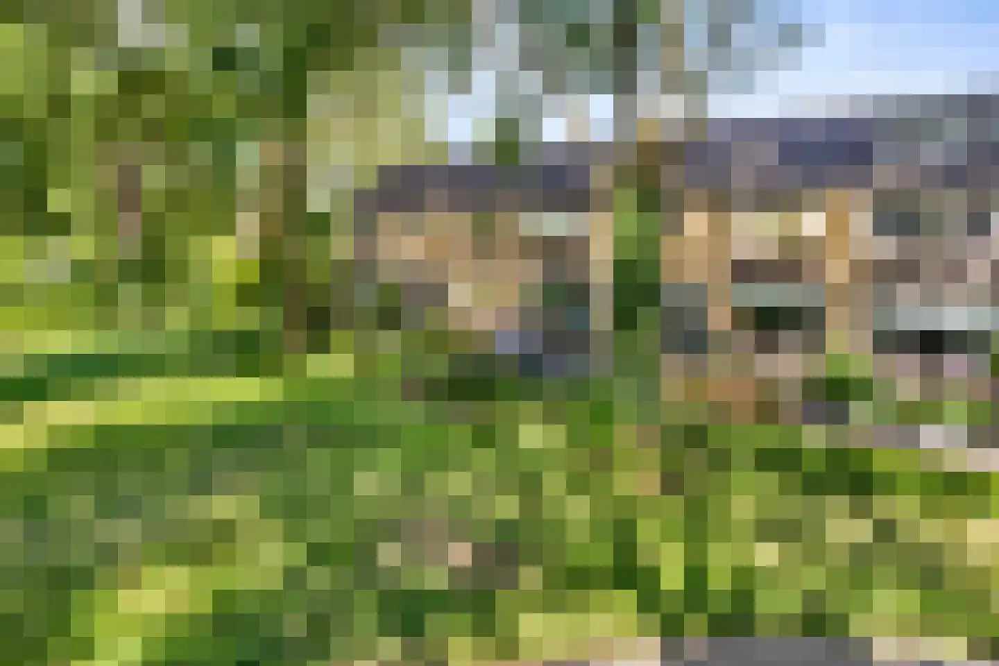 Tormentil 48 Kampen thumbnail 11
