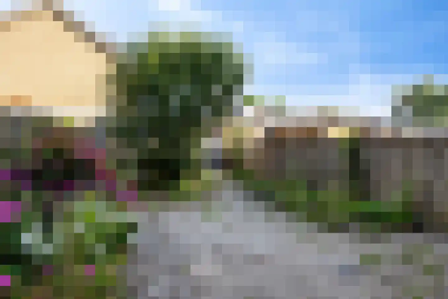 Tormentil 48 Kampen thumbnail 36