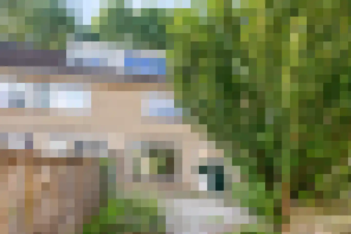 Tormentil 48 Kampen thumbnail 37
