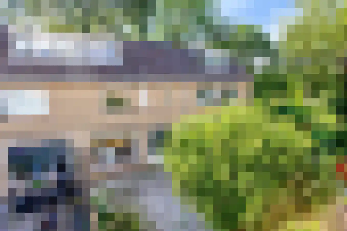 Tormentil 48 Kampen thumbnail 39