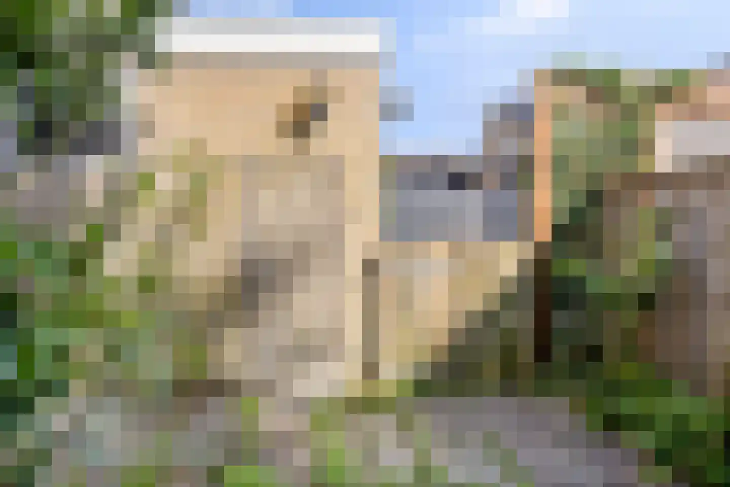 Tormentil 48 Kampen thumbnail 41