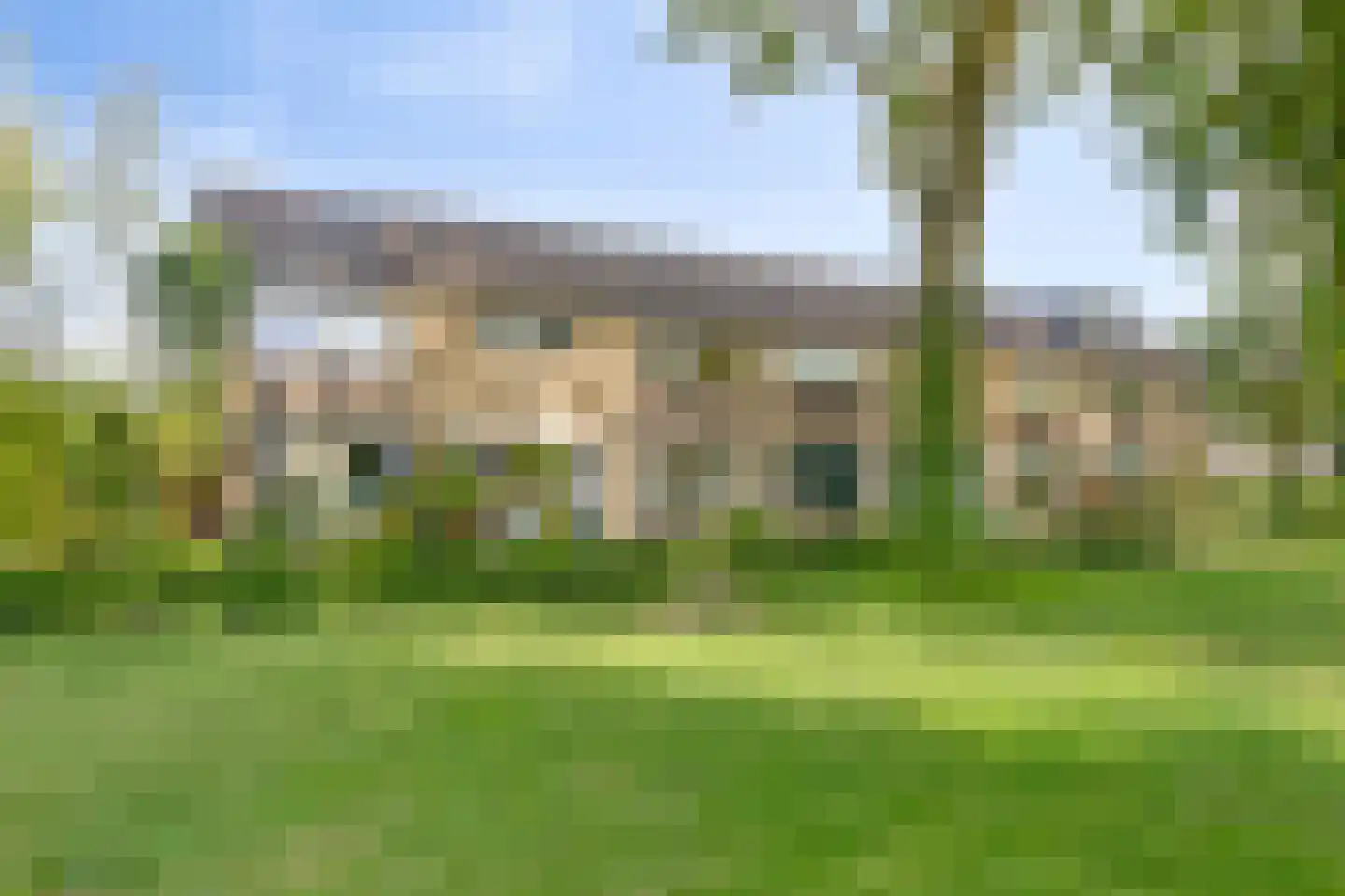 Tormentil 48 Kampen thumbnail 7