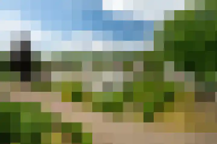 Tormentil 49 Heerenveen thumbnail 36